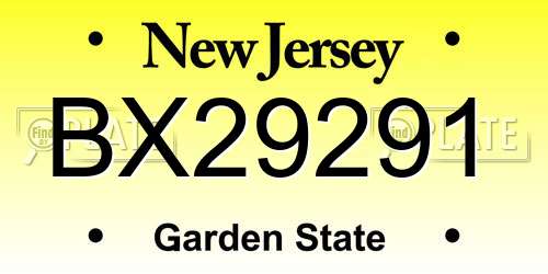 BX29291 New Jersey License Plate