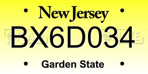 BX6D034 New Jersey License Plate
