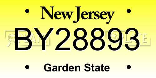 BY28893 New Jersey License Plate
