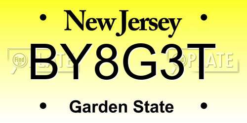 BY8G3T New Jersey License Plate