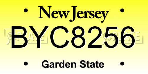 BYC8256 New Jersey License Plate