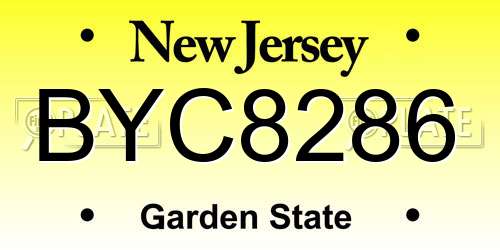 BYC8286 New Jersey License Plate