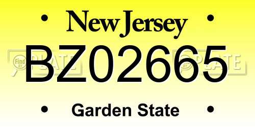 BZ02665 New Jersey License Plate