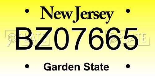 BZ07665 New Jersey License Plate