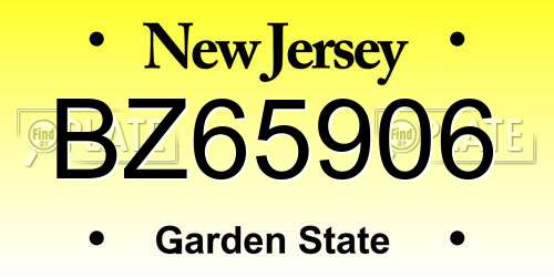 BZ65906 New Jersey License Plate