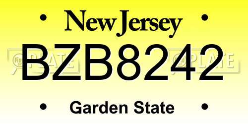BZB8242 New Jersey License Plate