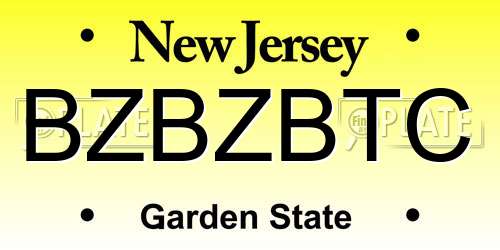 BZBZBTC New Jersey License Plate