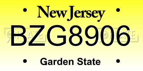 BZG8906 New Jersey License Plate