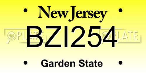 BZI254 New Jersey License Plate