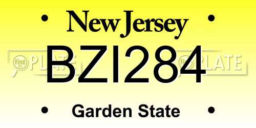 BZI284 New Jersey License Plate