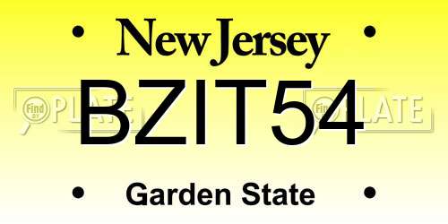 BZIT54 New Jersey License Plate