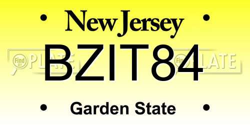 BZIT84 New Jersey License Plate