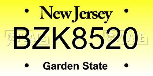 BZK8520 New Jersey License Plate