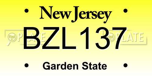 BZL137 New Jersey License Plate