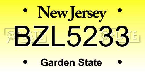 BZL5233 New Jersey License Plate