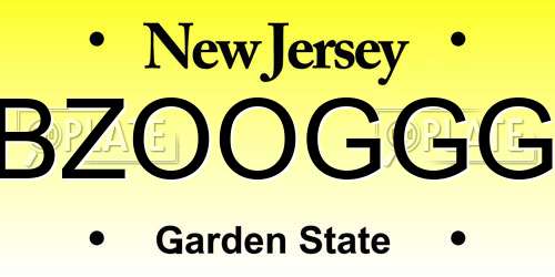 BZOOGGG New Jersey License Plate