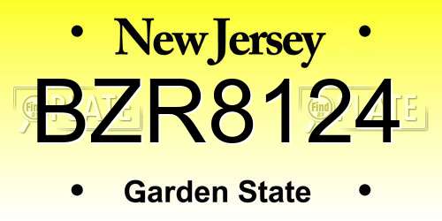 BZR8124 New Jersey License Plate