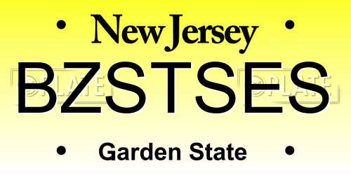 BZSTSES New Jersey License Plate