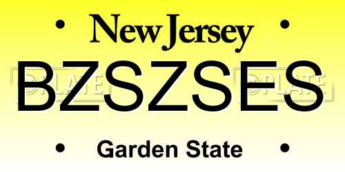 BZSZSES New Jersey License Plate