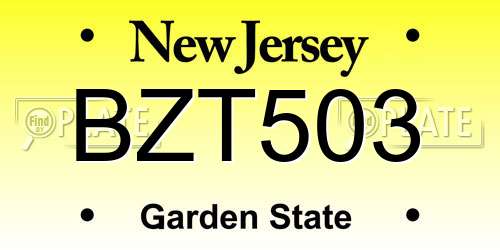 BZT503 New Jersey License Plate