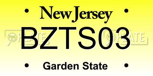 BZTS03 New Jersey License Plate