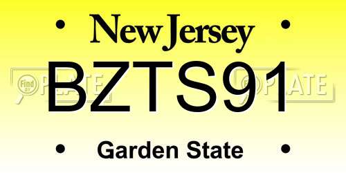 BZTS91 New Jersey License Plate