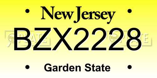 BZX2228 New Jersey License Plate