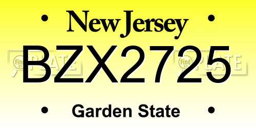 BZX2725 New Jersey License Plate