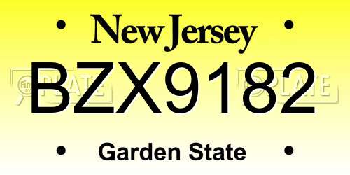 BZX9182 New Jersey License Plate