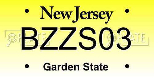 BZZS03 New Jersey License Plate