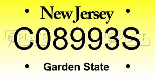 C08993S New Jersey License Plate