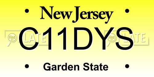 C11DYS New Jersey License Plate
