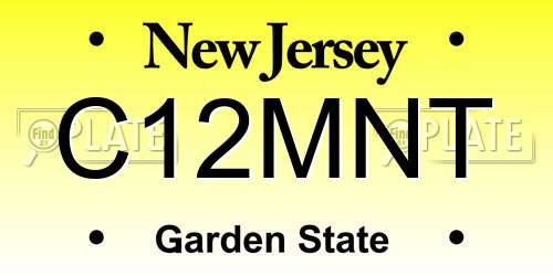 C12MNT New Jersey License Plate