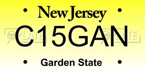 C15GAN New Jersey License Plate