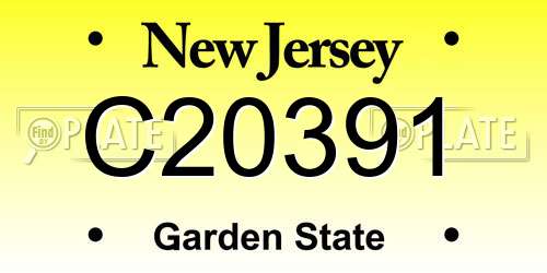 C20391 New Jersey License Plate