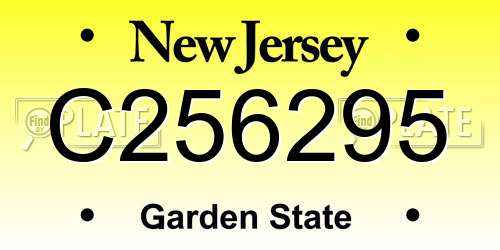 C256295 New Jersey License Plate