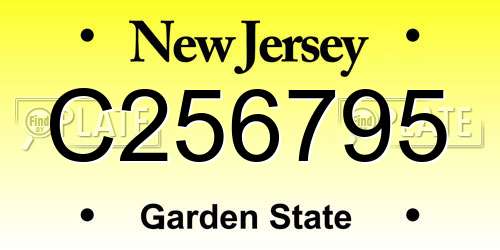 C256795 New Jersey License Plate