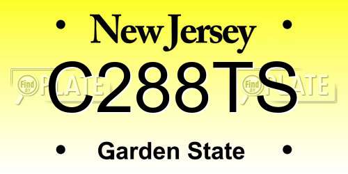 C288TS New Jersey License Plate