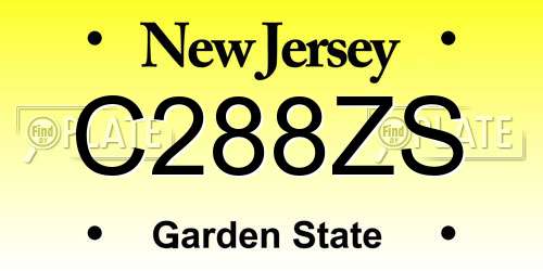 C288ZS New Jersey License Plate