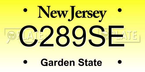 C289SE New Jersey License Plate