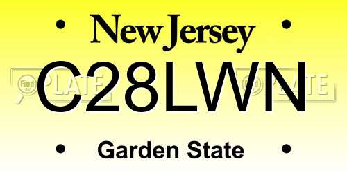 C28LWN New Jersey License Plate