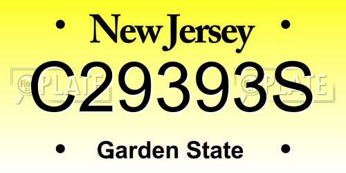 C29393S New Jersey License Plate