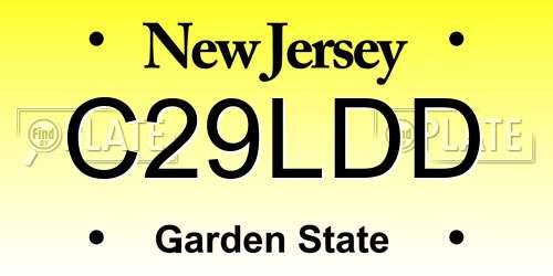 C29LDD New Jersey License Plate