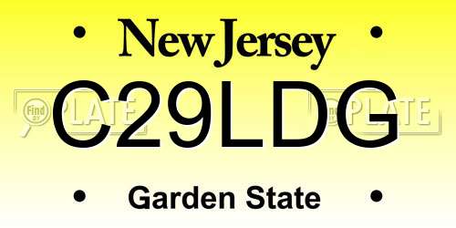 C29LDG New Jersey License Plate