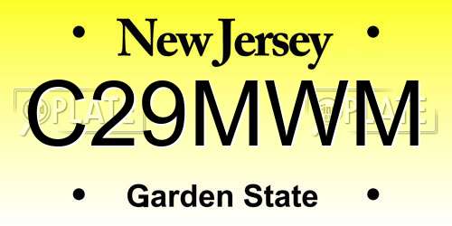 C29MWM New Jersey License Plate