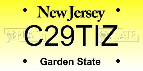 C29TIZ New Jersey License Plate