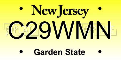 C29WMN New Jersey License Plate