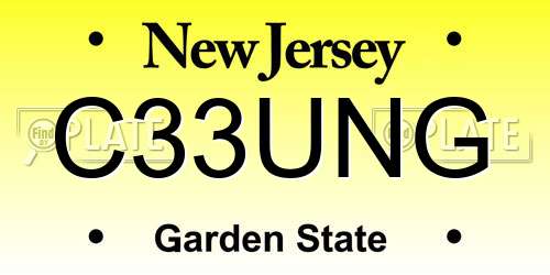C33UNG New Jersey License Plate