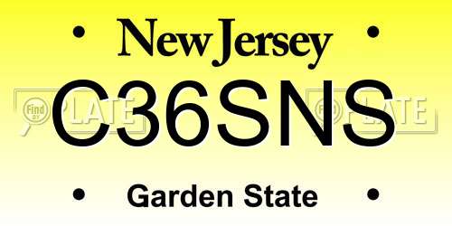 C36SNS New Jersey License Plate