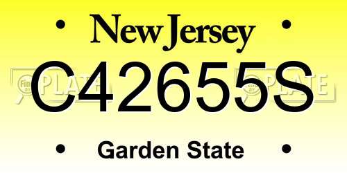 C42655S New Jersey License Plate